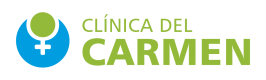 Clinica del Carmen Logo Color Horz